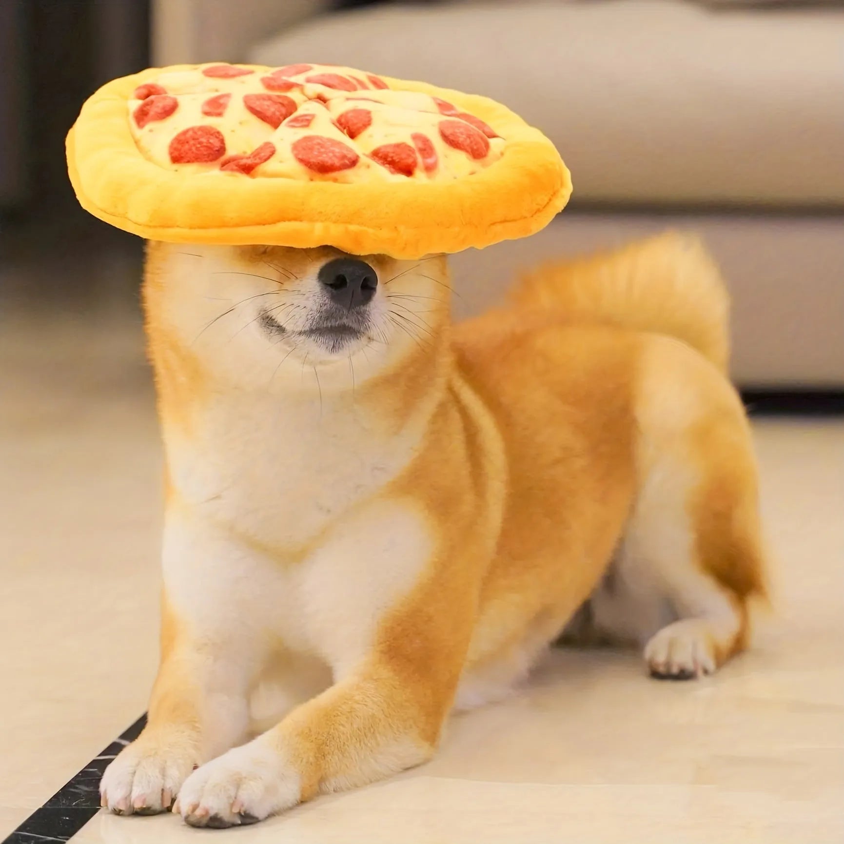 Yellow pizza slice squeaky plush dog chewing toy on white background