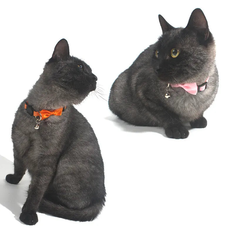 Striped adjustable cat bow collar with bell in multiple colour options