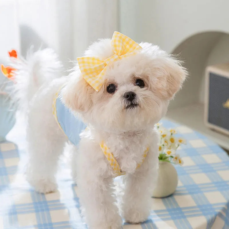 Small dog vest with heart bow suspenders in elastic material showing Bondi Blue colour option