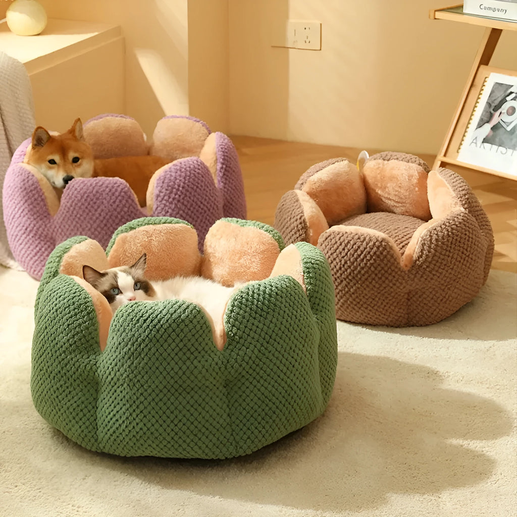 Green cactus petal shaped enclosed pet bed for cats and dogs on a hardwood floor.