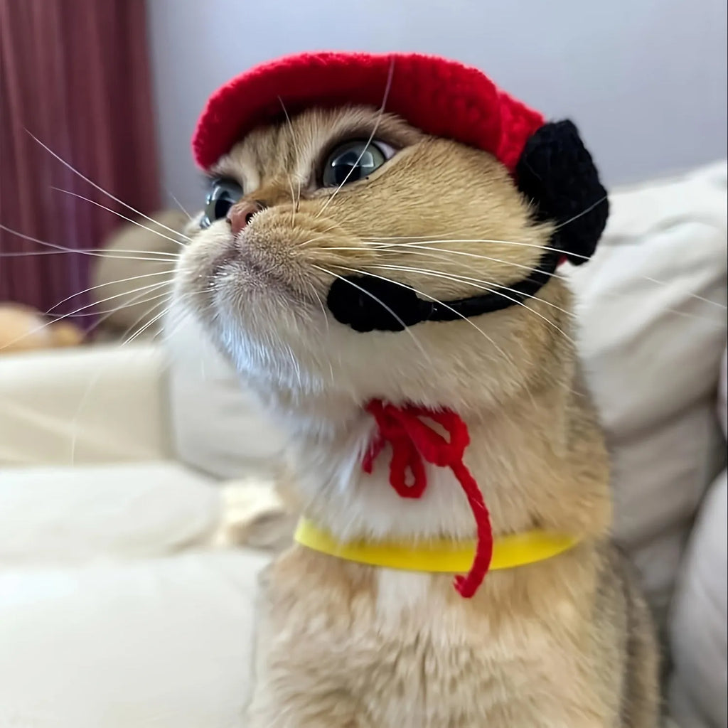 Handmade chef hat and matching cotton knitted sweater costume on a small cat or dog