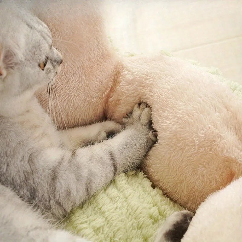 Green soft cat kennel pet bed with cactus design, shown next to a purple version.