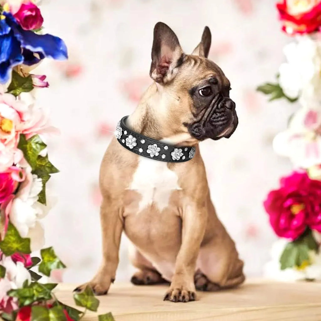 Rhinestone flower pattern on a black adjustable PU leather dog collar with metal D-ring for small dogs.