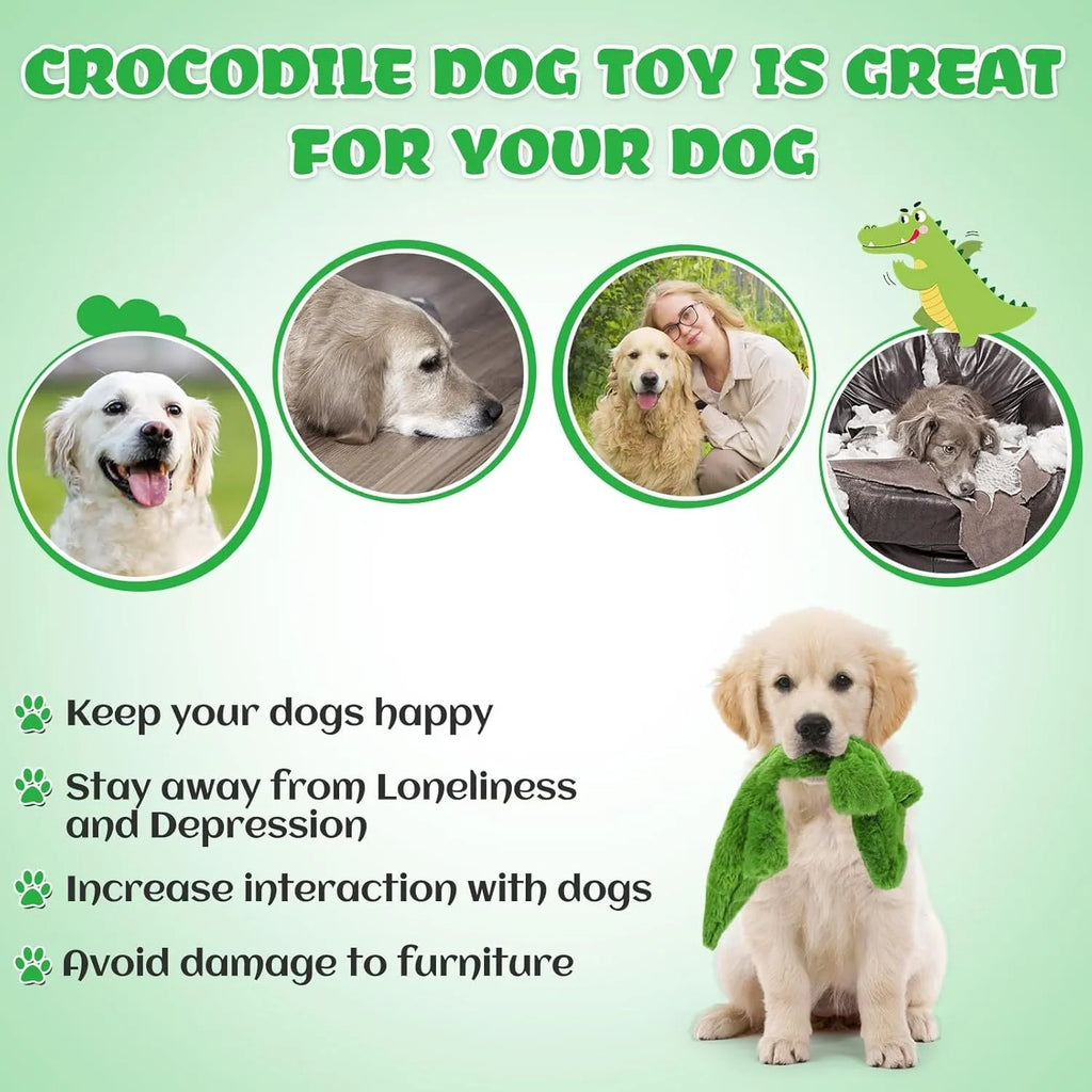 Dark green crocodile-shaped no-stuffing plush dog toy with squeaker and crinkle sound elements
