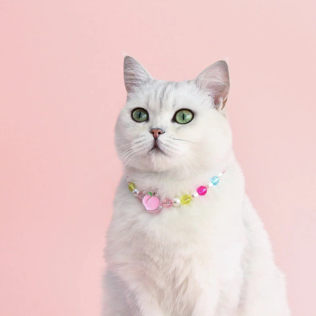 Colourful plastic pearl pet necklace with small flower, rainbow or peach bead patterns and adjustable sizing