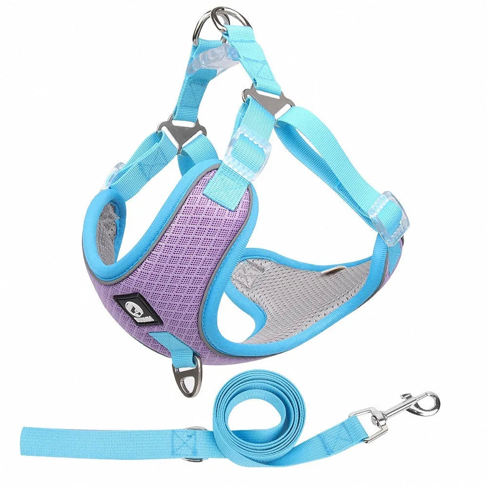 Adjustable dog harness with reflective strips and mesh saddle panel in black colour